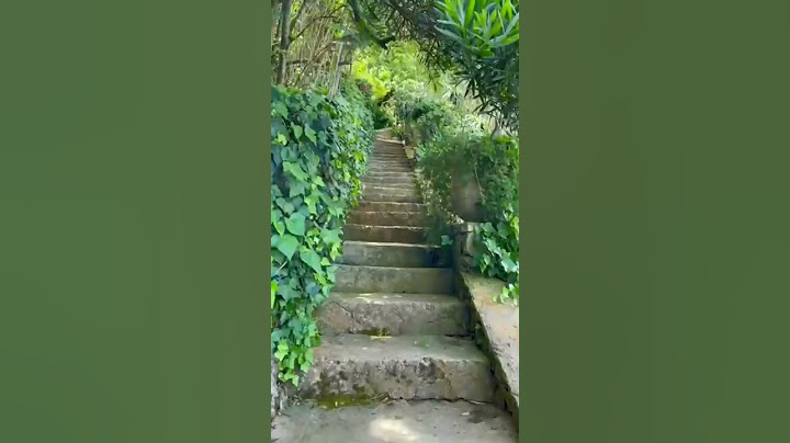 اجي تشوف مدينة طنجة الجميلة ♥️