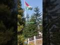 Pine City Energy 🌲🌳🏡🎄 #shorts #viral #travel #shillong #pinetrees #northeast #vlog #milesnmoments11