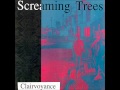 Video Forever Screaming Trees