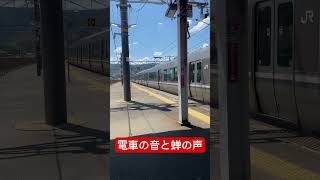 #jr京都線