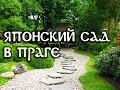 Японский сад в ботаническом саду Праги