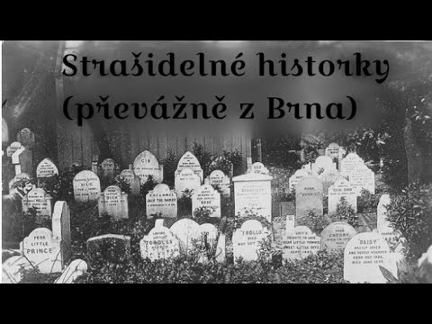 Video: Skutočné Strašidelné Príbehy Používateľov Redditu. 7. časť Alternatívny Pohľad