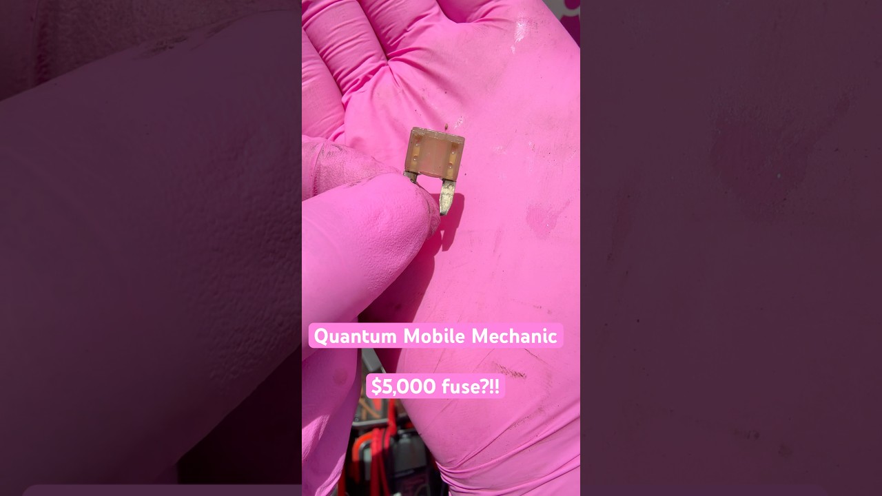 $5,000 fuse; Parts Cannon 