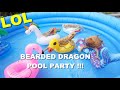 Bearded Dragon Pool Party !!! Happy July 4 !!