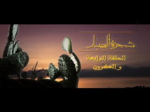 مسلسل شجرة الصبار الحلقة 24