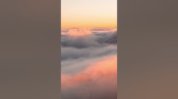 حالات واتس سورة الحجر ولقد نعلم أنك يضيق صدرك بما يقولون الشيخ موسى الأنصارى بصوت يريح القلب