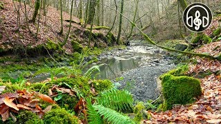 Soft Sound Of A Mountain River. 6 Hours for Sleep, Relaxation and Meditation. screenshot 4