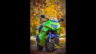 замена сальника вилки honda cbr 600 f3