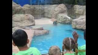 Summer Camp 2014 at Tutor Time Baldwin