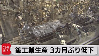 鉱工業生産 ３カ月ぶり低下（2023年5月31日）