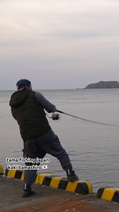 I caught a big yellowfin tuna from the shore.#tamafishingjapan #japanfishing #yellowfintuna