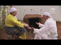 بالجودة العالية مزاوگة ف تراب البلاد لعشاق الخيل و التبوريدة 