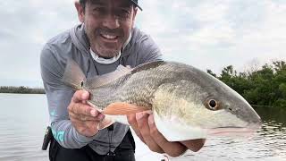 Spring fishing in Florida (pescando na primavera na Flórida