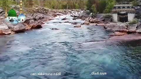 سورة لقمان القارئ محمد هشام حسن