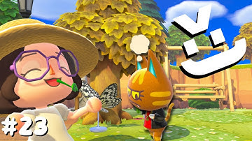 Day 23 - I Designed an Island without Nintendo Online in 30 Days