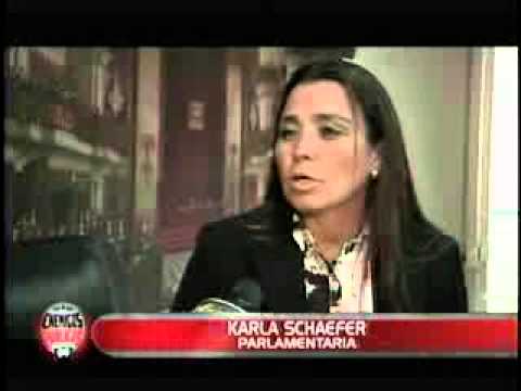 Polémica por Unión Civil, posiciones diferentes entre Julio Rosas y Karla Schaefer parlamentarios gobierno de navarra