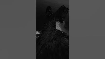 Ionut Cercel - Made in Romania | "daga dumla dumla da made in romania" | Aesthetic #madeinromania