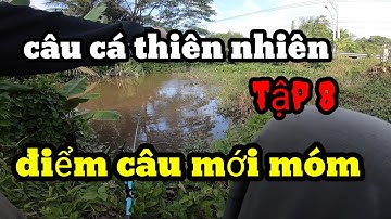 Câu cá thiên nhiên tập 8 đi tìm điểm câu mới móm toàn tập || Quang TV