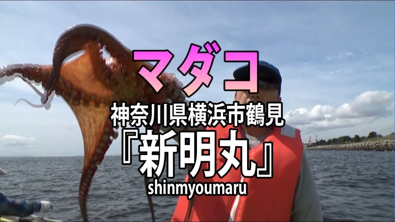 新明丸 神奈川県鶴見 マダコ オフショアマガジン Youtube