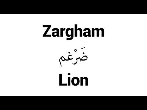how-to-pronounce-zargham!---middle-eastern-names
