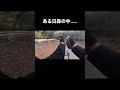 ある日の森の中.....#shorts