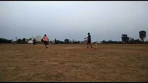 cricket is life