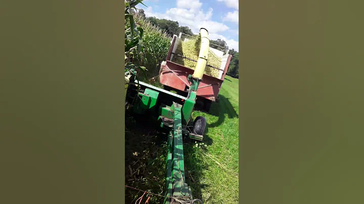 quick corn chopping video.