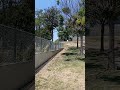 Los Angeles Rampart Station