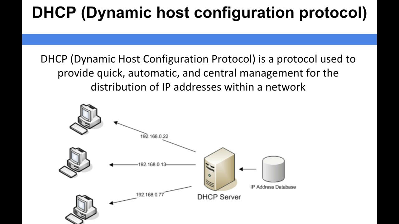 dhcp dynamic assignment