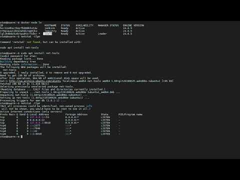 Запуск сервиса на кластере Docker Swarm (Starting service on Docker Swarm cluster)