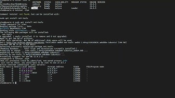 Запуск сервиса на кластере Docker Swarm (Starting service on Docker Swarm cluster)