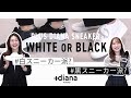 【白or黒？】plus dianaスニーカー紹介！本当に使えるのは...？
