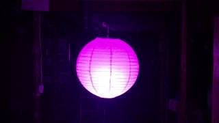 Phillips hue light + ambify