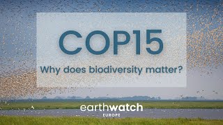 COP15: Why does biodiversity matter