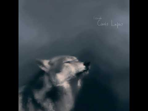 Canis Lupus