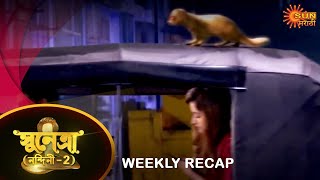 Sunetra  - Weekly Recap | 14 Nov - 19 Nov | Sun Bangla TV Serial | Bengali