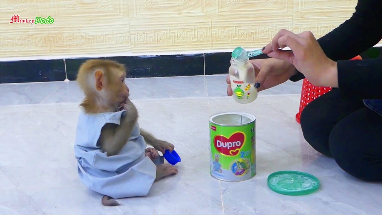 Wow Biden Sitting Wait Mom Mixed Milk With Good Behavior