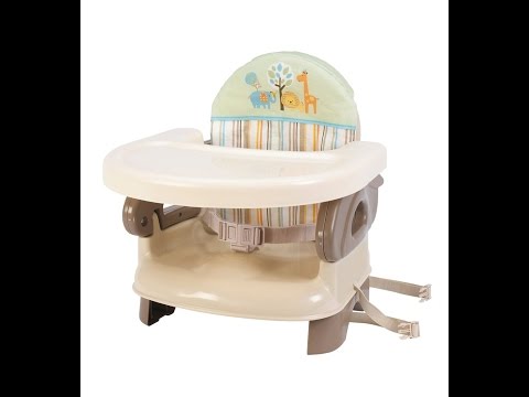 Review: Summer Infant Deluxe Comfort Booster, Tan