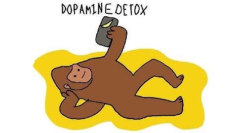 Why Monkeys Can’t Focus Anymore (Dopamine Detox)