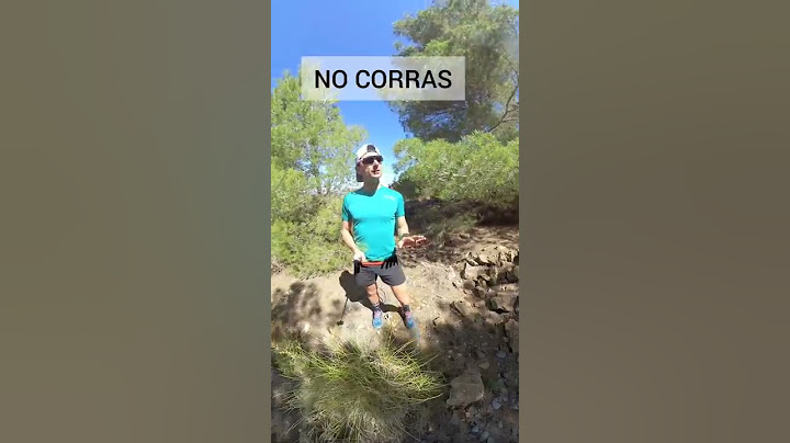 Encountering a PUMA: How to Act. #shorts #survival #tutorial