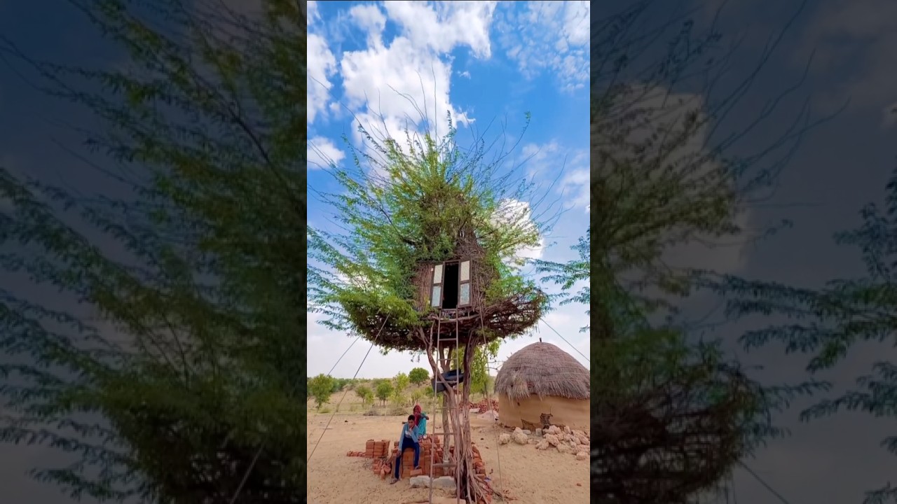 Tree House सुकून दायक हवा महल 😳 #trending #shorts #treehouse