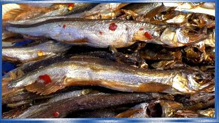 Мойва солёная в ПИВЕ, рыба холодного копчения по-китайски, рецепты из рыбы от fisherman dv.27rus
