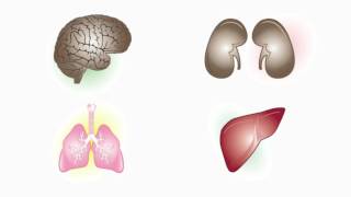 Safety Tip Respiratory Protection Vivid Learning Systems