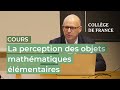 La perception des objets mathmatiques lmentaires 5  stanislas dehaene 20232024