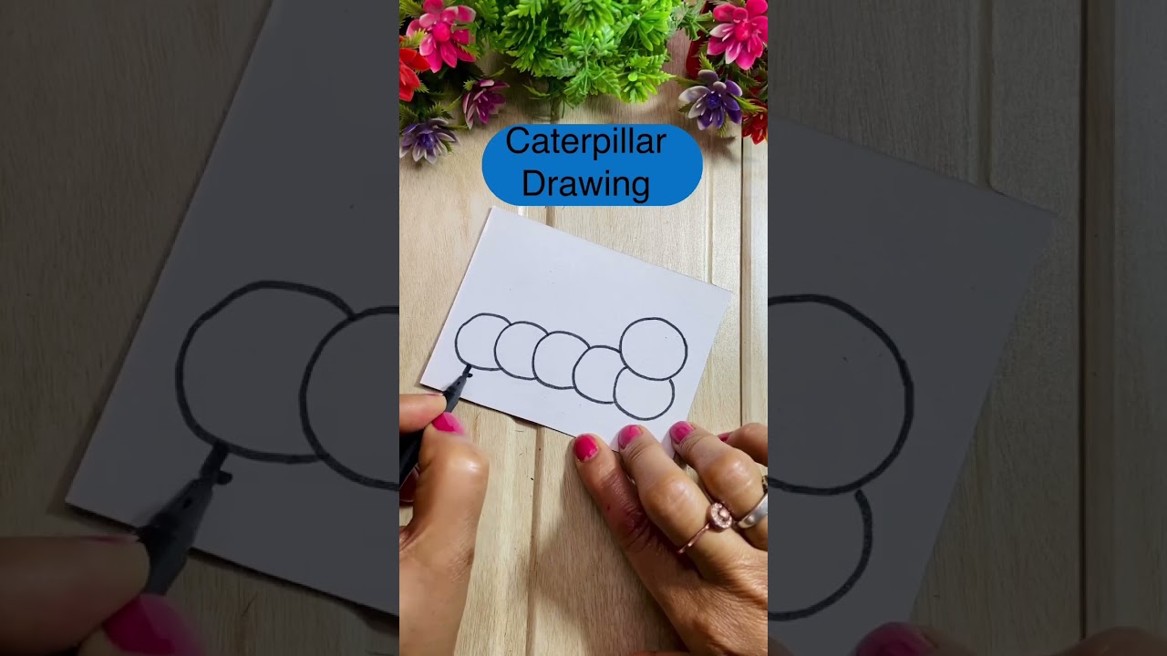 Caterpillar Drawing 