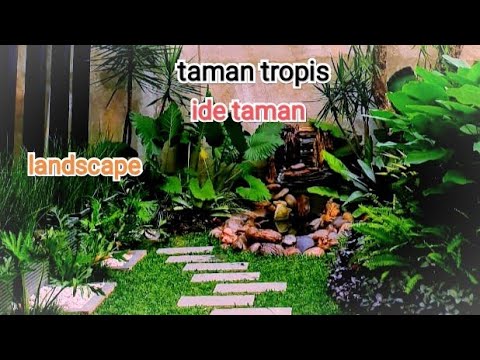 Video: Gaya Hutan Dalam Desain Lansekap