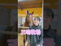 三嶋牧場 今週の注目馬 10/13 #三嶋牧場 #競馬 #イエヴァンポルッカ #秋華賞