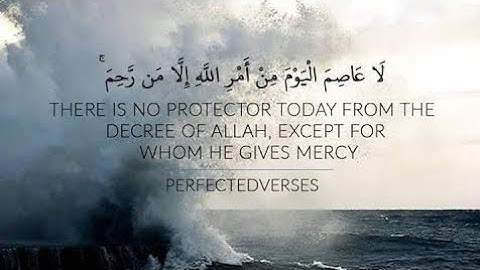 (قَالَ لَا عَاصِمَ الْيَوْمَ مِنْ أَمْرِ اللَّهِ) تلاوة خاشعة للقارئ خالد عزت | khaled Ezzat