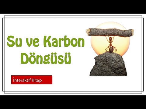 Su ve Karbon Döngüsü #sayfa178