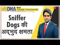 DNA: क्या Sniffer Dogs हकीकत में कोरोना संक्रमण पहचान सकते है? Aditi Tyagi | Latest Hindi News